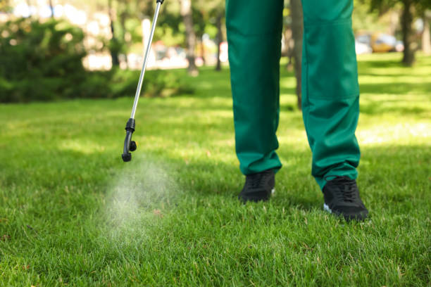 Best Termite Control Services  in Emma, NC