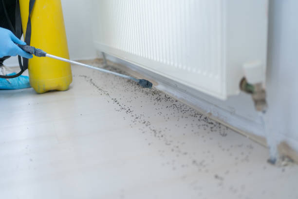 Best Pest Control for Businesses  in Emma, NC